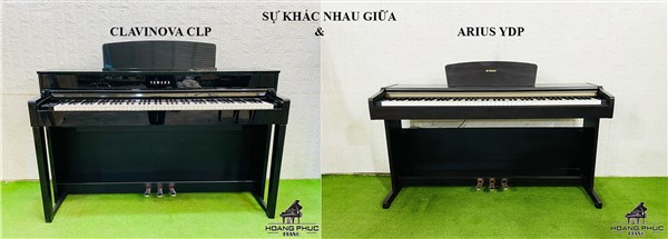SỰ KHÁC NHAU GIỮA SERIES CLAVINOVA CLP & ARIUS YDP