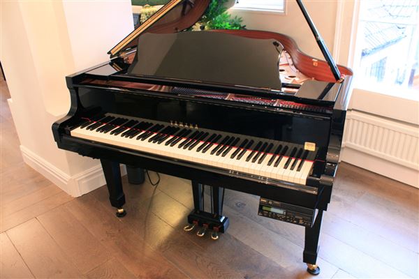 Địa chỉ bán đàn Piano uy tín tại HCM