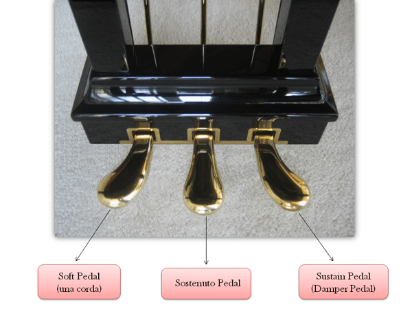 PEDAL VÀ NHỮNG ĐIỀU BẠN CHƯA BIẾT ?