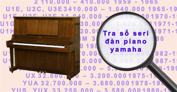 SỐ SERIES VÀ NĂM SẢN XUẤT ĐÀN PIANO