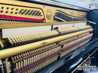 Chuyên Cung Cấp Sỉ Và Lẻ Piano & Guitar Secondhand Nhập Khẩu 100% Từ Nhật - Với Chất Lượng Và Chế Độ Bảo Hành Uy Tín, Nhanh Chóng. Hỗ trợ trả góp từ 0% bằng thẻ tín dụng cho khách hàng.