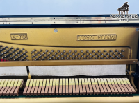 Chuyên Cung Cấp Sỉ Và Lẻ Piano & Guitar Secondhand Nhập Khẩu 100% Từ Nhật - Với Chất Lượng Và Chế Độ Bảo Hành Uy Tín, Nhanh Chóng. Hỗ trợ trả góp từ 0% bằng thẻ tín dụng cho khách hàng.
