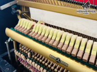 Chuyên Cung Cấp Sỉ Và Lẻ Piano & Guitar Secondhand Nhập Khẩu 100% Từ Nhật - Với Chất Lượng Và Chế Độ Bảo Hành Uy Tín, Nhanh Chóng. Hỗ trợ trả góp từ 0% bằng thẻ tín dụng cho khách hàng.