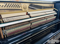 Chuyên Cung Cấp Sỉ Và Lẻ Piano & Guitar Secondhand Nhập Khẩu 100% Từ Nhật - Với Chất Lượng Và Chế Độ Bảo Hành Uy Tín, Nhanh Chóng. Hỗ trợ trả góp từ 0% bằng thẻ tín dụng cho khách hàng.