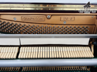 Chuyên Cung Cấp Sỉ Và Lẻ Piano & Guitar Secondhand Nhập Khẩu 100% Từ Nhật - Với Chất Lượng Và Chế Độ Bảo Hành Uy Tín, Nhanh Chóng. Hỗ trợ trả góp từ 0% bằng thẻ tín dụng cho khách hàng.
