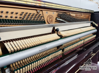 Chuyên Cung Cấp Sỉ Và Lẻ Piano & Guitar Secondhand Nhập Khẩu 100% Từ Nhật - Với Chất Lượng Và Chế Độ Bảo Hành Uy Tín, Nhanh Chóng. Hỗ trợ trả góp từ 0% bằng thẻ tín dụng cho khách hàng.