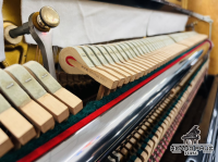 Chuyên Cung Cấp Sỉ Và Lẻ Piano & Guitar Secondhand Nhập Khẩu 100% Từ Nhật - Với Chất Lượng Và Chế Độ Bảo Hành Uy Tín, Nhanh Chóng. Hỗ trợ trả góp từ 0% bằng thẻ tín dụng cho khách hàng.
