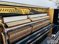Chuyên Cung Cấp Sỉ Và Lẻ Piano & Guitar Secondhand Nhập Khẩu 100% Từ Nhật - Với Chất Lượng Và Chế Độ Bảo Hành Uy Tín, Nhanh Chóng. Hỗ trợ trả góp từ 0% bằng thẻ tín dụng cho khách hàng.