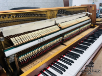 Chuyên Cung Cấp Sỉ Và Lẻ Piano & Guitar Secondhand Nhập Khẩu 100% Từ Nhật - Với Chất Lượng Và Chế Độ Bảo Hành Uy Tín, Nhanh Chóng. Hỗ trợ trả góp từ 0% bằng thẻ tín dụng cho khách hàng.