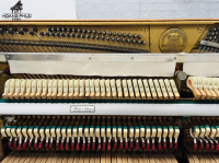 Chuyên Cung Cấp Sỉ Và Lẻ Piano & Guitar Secondhand Nhập Khẩu 100% Từ Nhật - Với Chất Lượng Và Chế Độ Bảo Hành Uy Tín, Nhanh Chóng. Hỗ trợ trả góp từ 0% bằng thẻ tín dụng cho khách hàng.