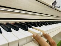 Chuyên Cung Cấp Sỉ Và Lẻ Piano & Guitar Secondhand Nhập Khẩu 100% Từ Nhật - Với Chất Lượng Và Chế Độ Bảo Hành Uy Tín, Nhanh Chóng. Hỗ trợ trả góp từ 0% bằng thẻ tín dụng cho khách hàng.