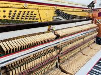Chuyên Cung Cấp Sỉ Và Lẻ Piano & Guitar Secondhand Nhập Khẩu 100% Từ Nhật - Với Chất Lượng Và Chế Độ Bảo Hành Uy Tín, Nhanh Chóng. Hỗ trợ trả góp từ 0% bằng thẻ tín dụng cho khách hàng.
