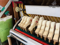 Chuyên Cung Cấp Sỉ Và Lẻ Piano & Guitar Secondhand Nhập Khẩu 100% Từ Nhật - Với Chất Lượng Và Chế Độ Bảo Hành Uy Tín, Nhanh Chóng. Hỗ trợ trả góp từ 0% bằng thẻ tín dụng cho khách hàng.