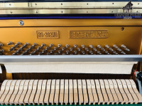 Chuyên Cung Cấp Sỉ Và Lẻ Piano & Guitar Secondhand Nhập Khẩu 100% Từ Nhật - Với Chất Lượng Và Chế Độ Bảo Hành Uy Tín, Nhanh Chóng. Hỗ trợ trả góp từ 0% bằng thẻ tín dụng cho khách hàng.