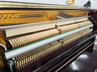 Chuyên Cung Cấp Sỉ Và Lẻ Piano & Guitar Secondhand Nhập Khẩu 100% Từ Nhật - Với Chất Lượng Và Chế Độ Bảo Hành Uy Tín, Nhanh Chóng. Hỗ trợ trả góp từ 0% bằng thẻ tín dụng cho khách hàng.