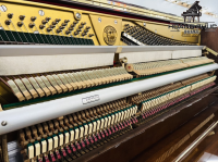 Chuyên Cung Cấp Sỉ Và Lẻ Piano & Guitar Secondhand Nhập Khẩu 100% Từ Nhật - Với Chất Lượng Và Chế Độ Bảo Hành Uy Tín, Nhanh Chóng. Hỗ trợ trả góp từ 0% bằng thẻ tín dụng cho khách hàng.