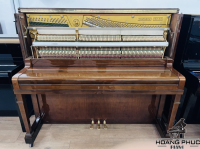 Chuyên Cung Cấp Sỉ Và Lẻ Piano & Guitar Secondhand Nhập Khẩu 100% Từ Nhật - Với Chất Lượng Và Chế Độ Bảo Hành Uy Tín, Nhanh Chóng. Hỗ trợ trả góp từ 0% bằng thẻ tín dụng cho khách hàng.