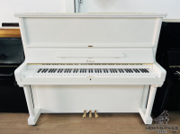 Chuyên Cung Cấp Sỉ Và Lẻ Piano & Guitar Secondhand Nhập Khẩu 100% Từ Nhật - Với Chất Lượng Và Chế Độ Bảo Hành Uy Tín, Nhanh Chóng. Hỗ trợ trả góp từ 0% bằng thẻ tín dụng cho khách hàng.