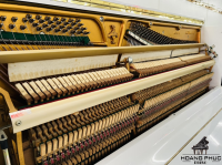 Chuyên Cung Cấp Sỉ Và Lẻ Piano & Guitar Secondhand Nhập Khẩu 100% Từ Nhật - Với Chất Lượng Và Chế Độ Bảo Hành Uy Tín, Nhanh Chóng. Hỗ trợ trả góp từ 0% bằng thẻ tín dụng cho khách hàng.