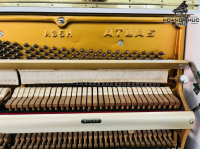 Chuyên Cung Cấp Sỉ Và Lẻ Piano & Guitar Secondhand Nhập Khẩu 100% Từ Nhật - Với Chất Lượng Và Chế Độ Bảo Hành Uy Tín, Nhanh Chóng. Hỗ trợ trả góp từ 0% bằng thẻ tín dụng cho khách hàng.