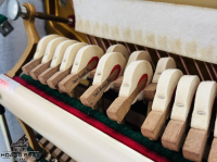 Chuyên Cung Cấp Sỉ Và Lẻ Piano & Guitar Secondhand Nhập Khẩu 100% Từ Nhật - Với Chất Lượng Và Chế Độ Bảo Hành Uy Tín, Nhanh Chóng. Hỗ trợ trả góp từ 0% bằng thẻ tín dụng cho khách hàng.