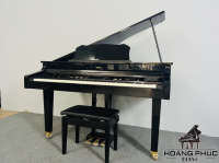 Chuyên Cung Cấp Sỉ Và Lẻ Piano & Guitar Secondhand Nhập Khẩu 100% Từ Nhật - Với Chất Lượng Và Chế Độ Bảo Hành Uy Tín, Nhanh Chóng. Hỗ trợ trả góp từ 0% bằng thẻ tín dụng cho khách hàng.