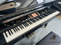 Chuyên Cung Cấp Sỉ Và Lẻ Piano & Guitar Secondhand Nhập Khẩu 100% Từ Nhật - Với Chất Lượng Và Chế Độ Bảo Hành Uy Tín, Nhanh Chóng. Hỗ trợ trả góp từ 0% bằng thẻ tín dụng cho khách hàng.