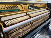 Chuyên Cung Cấp Sỉ Và Lẻ Piano & Guitar Secondhand Nhập Khẩu 100% Từ Nhật - Với Chất Lượng Và Chế Độ Bảo Hành Uy Tín, Nhanh Chóng. Hỗ trợ trả góp từ 0% bằng thẻ tín dụng cho khách hàng.