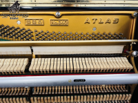 Chuyên Cung Cấp Sỉ Và Lẻ Piano & Guitar Secondhand Nhập Khẩu 100% Từ Nhật - Với Chất Lượng Và Chế Độ Bảo Hành Uy Tín, Nhanh Chóng. Hỗ trợ trả góp từ 0% bằng thẻ tín dụng cho khách hàng.