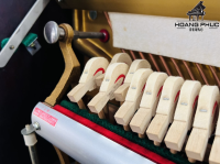 Chuyên Cung Cấp Sỉ Và Lẻ Piano & Guitar Secondhand Nhập Khẩu 100% Từ Nhật - Với Chất Lượng Và Chế Độ Bảo Hành Uy Tín, Nhanh Chóng. Hỗ trợ trả góp từ 0% bằng thẻ tín dụng cho khách hàng.