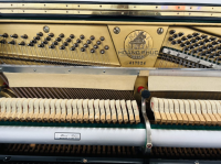 Chuyên Cung Cấp Sỉ Và Lẻ Piano & Guitar Secondhand Nhập Khẩu 100% Từ Nhật - Với Chất Lượng Và Chế Độ Bảo Hành Uy Tín, Nhanh Chóng. Hỗ trợ trả góp từ 0% bằng thẻ tín dụng cho khách hàng.