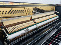 Chuyên Cung Cấp Sỉ Và Lẻ Piano & Guitar Secondhand Nhập Khẩu 100% Từ Nhật - Với Chất Lượng Và Chế Độ Bảo Hành Uy Tín, Nhanh Chóng. Hỗ trợ trả góp từ 0% bằng thẻ tín dụng cho khách hàng.