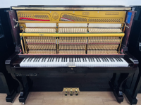 Chuyên Cung Cấp Sỉ Và Lẻ Piano & Guitar Secondhand Nhập Khẩu 100% Từ Nhật - Với Chất Lượng Và Chế Độ Bảo Hành Uy Tín, Nhanh Chóng. Hỗ trợ trả góp từ 0% bằng thẻ tín dụng cho khách hàng.