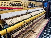 Chuyên Cung Cấp Sỉ Và Lẻ Piano & Guitar Secondhand Nhập Khẩu 100% Từ Nhật - Với Chất Lượng Và Chế Độ Bảo Hành Uy Tín, Nhanh Chóng. Hỗ trợ trả góp từ 0% bằng thẻ tín dụng cho khách hàng.