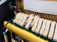 Chuyên Cung Cấp Sỉ Và Lẻ Piano & Guitar Secondhand Nhập Khẩu 100% Từ Nhật - Với Chất Lượng Và Chế Độ Bảo Hành Uy Tín, Nhanh Chóng. Hỗ trợ trả góp từ 0% bằng thẻ tín dụng cho khách hàng.