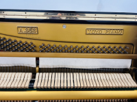 Chuyên Cung Cấp Sỉ Và Lẻ Piano & Guitar Secondhand Nhập Khẩu 100% Từ Nhật - Với Chất Lượng Và Chế Độ Bảo Hành Uy Tín, Nhanh Chóng. Hỗ trợ trả góp từ 0% bằng thẻ tín dụng cho khách hàng.