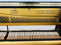 Chuyên Cung Cấp Sỉ Và Lẻ Piano & Guitar Secondhand Nhập Khẩu 100% Từ Nhật - Với Chất Lượng Và Chế Độ Bảo Hành Uy Tín, Nhanh Chóng. Hỗ trợ trả góp từ 0% bằng thẻ tín dụng cho khách hàng.