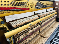 Chuyên Cung Cấp Sỉ Và Lẻ Piano & Guitar Secondhand Nhập Khẩu 100% Từ Nhật - Với Chất Lượng Và Chế Độ Bảo Hành Uy Tín, Nhanh Chóng. Hỗ trợ trả góp từ 0% bằng thẻ tín dụng cho khách hàng.