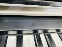 Chuyên Cung Cấp Sỉ Và Lẻ Piano & Guitar Secondhand Nhập Khẩu 100% Từ Nhật - Với Chất Lượng Và Chế Độ Bảo Hành Uy Tín, Nhanh Chóng. Hỗ trợ trả góp từ 0% bằng thẻ tín dụng cho khách hàng.