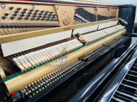 Chuyên Cung Cấp Sỉ Và Lẻ Piano & Guitar Secondhand Nhập Khẩu 100% Từ Nhật - Với Chất Lượng Và Chế Độ Bảo Hành Uy Tín, Nhanh Chóng. Hỗ trợ trả góp từ 0% bằng thẻ tín dụng cho khách hàng.