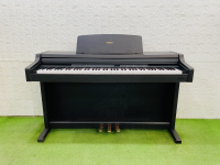 Chuyên Cung Cấp Sỉ Và Lẻ Piano & Guitar Secondhand Nhập Khẩu 100% Từ Nhật - Với Chất Lượng Và Chế Độ Bảo Hành Uy Tín, Nhanh Chóng. Hỗ trợ trả góp từ 0% bằng thẻ tín dụng cho khách hàng.