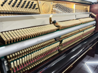 Chuyên Cung Cấp Sỉ Và Lẻ Piano & Guitar Secondhand Nhập Khẩu 100% Từ Nhật - Với Chất Lượng Và Chế Độ Bảo Hành Uy Tín, Nhanh Chóng. Hỗ trợ trả góp từ 0% bằng thẻ tín dụng cho khách hàng.