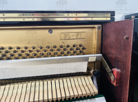 Chuyên Cung Cấp Sỉ Và Lẻ Piano & Guitar Secondhand Nhập Khẩu 100% Từ Nhật - Với Chất Lượng Và Chế Độ Bảo Hành Uy Tín, Nhanh Chóng. Hỗ trợ trả góp từ 0% bằng thẻ tín dụng cho khách hàng.