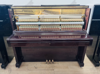 Chuyên Cung Cấp Sỉ Và Lẻ Piano & Guitar Secondhand Nhập Khẩu 100% Từ Nhật - Với Chất Lượng Và Chế Độ Bảo Hành Uy Tín, Nhanh Chóng. Hỗ trợ trả góp từ 0% bằng thẻ tín dụng cho khách hàng.