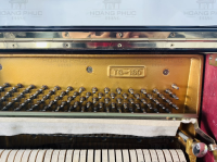 Chuyên Cung Cấp Sỉ Và Lẻ Piano & Guitar Secondhand Nhập Khẩu 100% Từ Nhật - Với Chất Lượng Và Chế Độ Bảo Hành Uy Tín, Nhanh Chóng. Hỗ trợ trả góp từ 0% bằng thẻ tín dụng cho khách hàng.