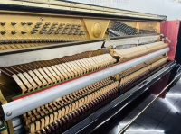 Chuyên Cung Cấp Sỉ Và Lẻ Piano & Guitar Secondhand Nhập Khẩu 100% Từ Nhật - Với Chất Lượng Và Chế Độ Bảo Hành Uy Tín, Nhanh Chóng. Hỗ trợ trả góp từ 0% bằng thẻ tín dụng cho khách hàng.