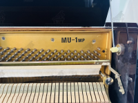Chuyên Cung Cấp Sỉ Và Lẻ Piano & Guitar Secondhand Nhập Khẩu 100% Từ Nhật - Với Chất Lượng Và Chế Độ Bảo Hành Uy Tín, Nhanh Chóng. Hỗ trợ trả góp từ 0% bằng thẻ tín dụng cho khách hàng.