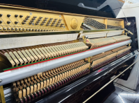 Chuyên Cung Cấp Sỉ Và Lẻ Piano & Guitar Secondhand Nhập Khẩu 100% Từ Nhật - Với Chất Lượng Và Chế Độ Bảo Hành Uy Tín, Nhanh Chóng. Hỗ trợ trả góp từ 0% bằng thẻ tín dụng cho khách hàng.