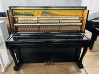 Chuyên Cung Cấp Sỉ Và Lẻ Piano & Guitar Secondhand Nhập Khẩu 100% Từ Nhật - Với Chất Lượng Và Chế Độ Bảo Hành Uy Tín, Nhanh Chóng. Hỗ trợ trả góp từ 0% bằng thẻ tín dụng cho khách hàng.