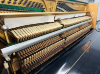 Chuyên Cung Cấp Sỉ Và Lẻ Piano & Guitar Secondhand Nhập Khẩu 100% Từ Nhật - Với Chất Lượng Và Chế Độ Bảo Hành Uy Tín, Nhanh Chóng. Hỗ trợ trả góp từ 0% bằng thẻ tín dụng cho khách hàng.